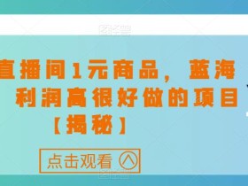 快手直播间1元商品,蓝海赛道,利润高很好做的项目【揭秘】