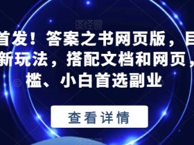 全网首发!答案之书网页版,目入2K,全新玩法,搭配文档和网页,零门槛、小白首选副业【揭秘】