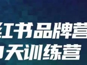 小红书品牌60天训练营第6期,GMV2亿级品牌老板都在学,教会你内容营销底层逻辑