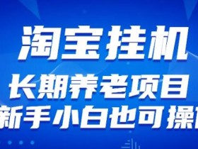 淘宝虚拟产品挂机项目(长期养老项目新手小白也可操作)【揭秘】