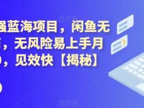 2023最强蓝海项目,闲鱼无货源电商,无风险易上手月赚10000,见效快【揭秘】