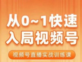 陈厂长·从0-1快速入局视频号课程,视频号直播实战训练课