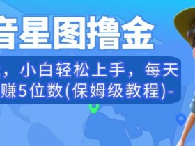 抖音星图撸金,无脑搬运,小白轻松上手,每天一小时月赚5位数(保姆级教程)【揭秘】