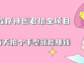 抖音小程序神图君撸金项目,用手机每天拍个手型挂载一下小程序就能赚钱【揭秘】