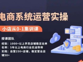 抖店精细化运营全案课,抖音小店从0-1集训营,电商系统运营实操课