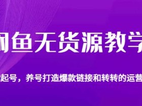 闲鱼无货源教学,教你起号,养号打造爆款链接以及转转的运营技巧
