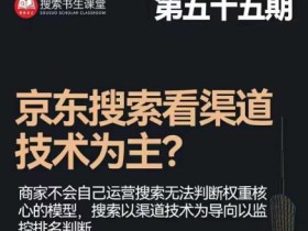 搜索书生·京东店长POP班【第55期】,京东搜推与爆款打造技巧,站内外广告高ROI投放打法