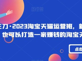 三刀·2023淘宝天猫运营班,新手小白也可以打造一家赚钱的淘宝天猫店铺