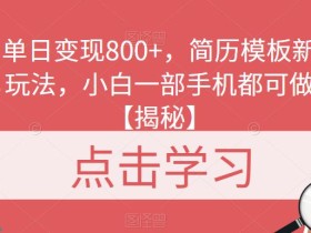 单日变现800+,简历模板新玩法,小白一部手机都可做【揭秘】