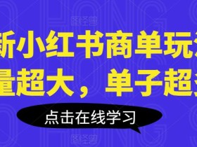 最新小红书商单玩法,流量超大,单子超多【揭秘】
