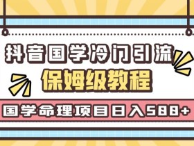日引流50+,轻松日入500+,抖音国学玄学神秘学最新命理冷门引流玩法,无脑操作【揭秘】