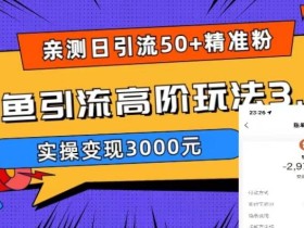亲测日引50+精准粉,闲鱼引流高阶玩法3.0,实操变现3000元【揭秘】