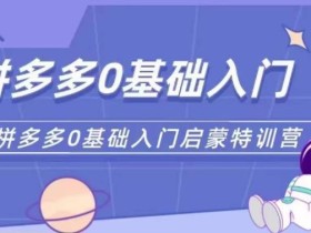拼多多运营0-1实操特训营,拼多多0基础入门,从基础到进阶的可实操玩法