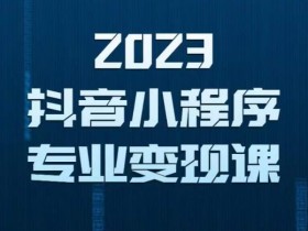 2023年抖音小程序变现保姆级教程,0粉丝新号,无需实名,3天起号,第1条视频就有收入