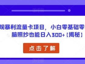 正规暴利流量卡项目,小白零基础零成本无脑照抄也能日入300+【揭秘】