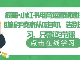 疯哥·小红书电商运营精通课,帮助新手卖家从0走向1,告别无效学习,只需这3节课
