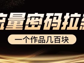 流量密码拉新项目, 一个作品几百块