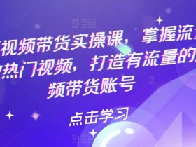热门短视频带货实操课,掌握流量密码,做热门视频,打造有流量的短视频带货账号
