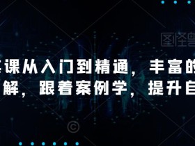 AI精英课从入门到精通,丰富的实战案例讲解,跟着案例学,提升自我!