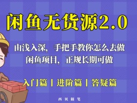 闲鱼无货源最新玩法,从入门到精通,由浅入深教你怎么去做【揭秘】