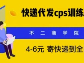 快递代发CPS,月入万元,不起眼却很赚钱的信息差项目【揭秘】
