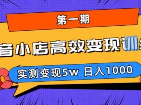 抖音小店高效变现训练营(第一期),实测变现5w,日入1000【揭秘】