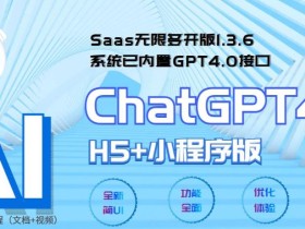 全网首发Saas无限多开版ChatGPT小程序+H5,系统已内置GPT4.0接口,可无限开通坑位