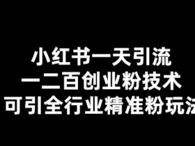 小红书一天引流一二百创业粉技术,可引全行业精准粉玩法【仅揭秘】