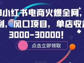 2023小红书电商火爆全网,新晋红利,风口项目,单店收益在3000-30000!