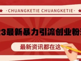 价值980的2023最新暴力引流创业粉丝玩法,单日被动引流50+创业粉【揭秘】