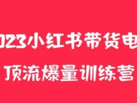 小红书电商爆量训练营,养生花茶实战篇,月入3W+