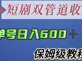 单号日入600+最新短剧双管道收益【详细教程】【揭秘】