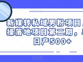 新媒转私域男粉项目,实操落地项目第二期,单号日产500+