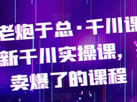 电商老炮于总·千川课,最新千川实操课,抖音卖爆了的课程
