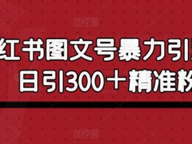 小红书图文号暴力引流4.0,日引300+精准粉丝【揭秘】