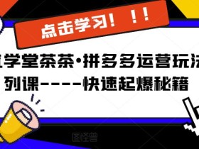 牛气学堂茶茶•拼多多运营玩法系列课—-快速起爆秘籍【更新】