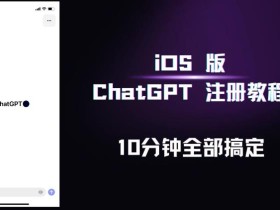iOS版ChatGPT注册教程,快人一步用上ChatGPT!