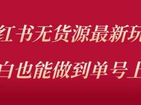 小红书无货源最新螺旋起号玩法,电商小白也能做到单号上万(价值3980元)