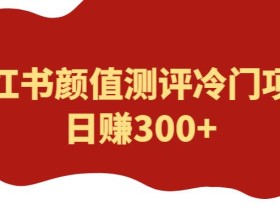 外面1980的项目,小红书颜值测评冷门项目,日赚300+【揭秘】
