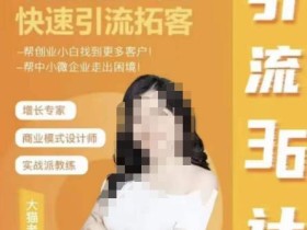 大猫·引流36计,掌握流量密码,快速引流拓客,帮创业小白找到更多客户,帮中小微企业走出困境