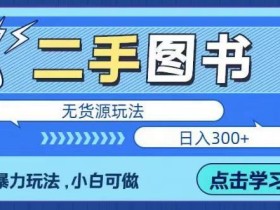 二手图书无货源项目,暴力玩法,小白可做,日入300+【揭秘】