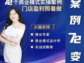 大猫老师案例72变,72个商业模式实操案例,门店盈利照着做
