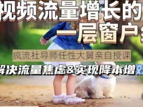 任性大舅·宠物行业短视频运营课(不讲废话),短视频流量增长的一层窗户纸,解决流量焦虑&实现降本增效