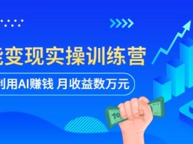 AI智能变现实操训练营:普通人利用AI赚钱 月收益数万元(全套课程+文档)
