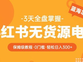 2023【阿本小红书无货源电商训练营】保姆级教程,从0到1,3天全盘掌握,轻松日入300+