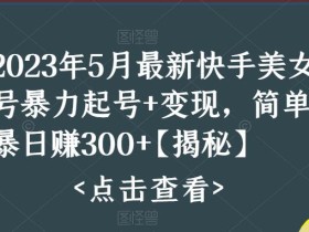 2023年5月最新快手美女号暴力起号+变现,简单粗暴日赚300+【揭秘】