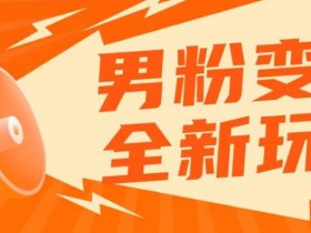 2023男粉落地项目落地日产500-1000,高客单私域成交!零基础小白上手无压力【揭秘】