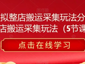 淘宝虚拟整店搬运采集玩法分享课,整店搬运采集玩法(5节课)