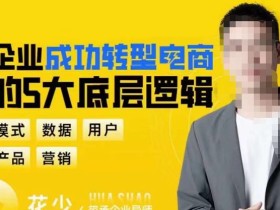 企业成功转型电商的5大底层逻辑,从模式、数据、用户、产品、营销5大板块,助你高效转型电商赛道
