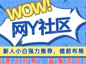 有道词典WOW社区项目,新人小白强力推荐,提前布局,高速上升期,蓝海项目【揭秘】
